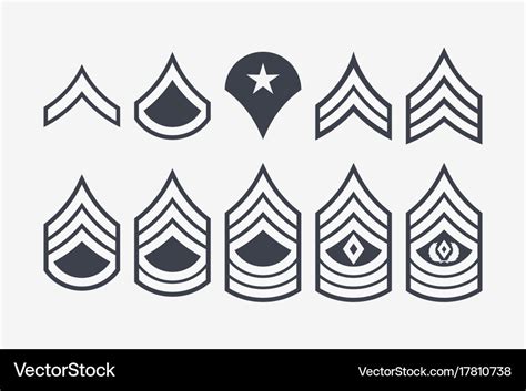 Military ranks stripes and chevrons set army Vector Image