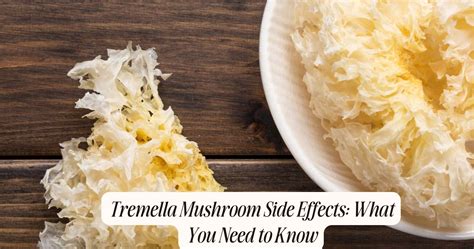 Tremella Mushroom Side Effects: What You Need to Know – Well Gummies