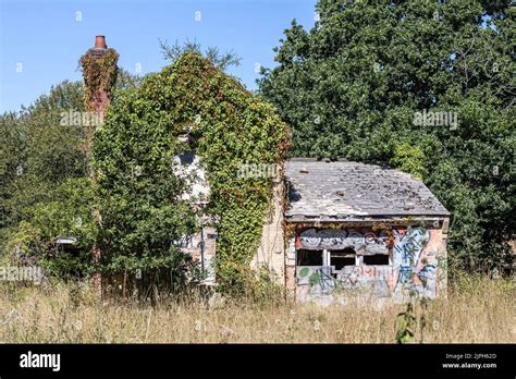 Derelict building, Bovington wood, summertime, Bovington, Dorset, UK ...