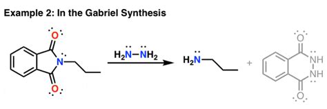 Reagent Friday: Hydrazine (NH2NH2) – Master Organic Chemistry