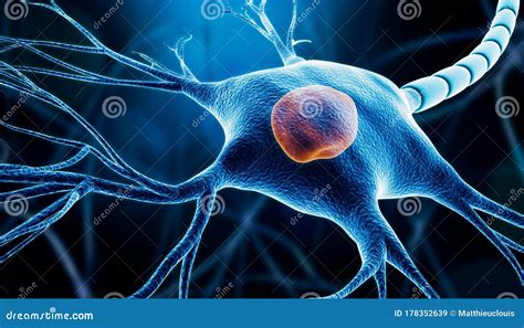 Closeup of a Neuron or Nerve Cell Soma with Nucleus, Myelin and Dendrites 3D Rendering ...