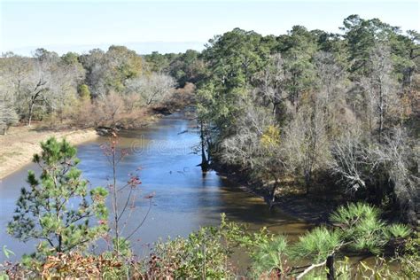 Neuse River Overlook at Cliffs of the Neuse State Park Stock Photo ...