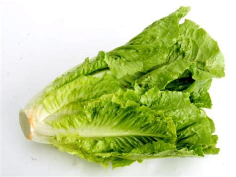 Romaine Lettuce - Nutrition Facts, Health Benefits, Calories, Recipes