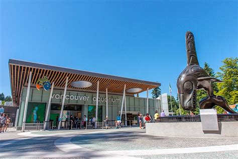 Vancouver Aquarium and Marineland shipping beluga whales out of the country - Vancouver Is Awesome