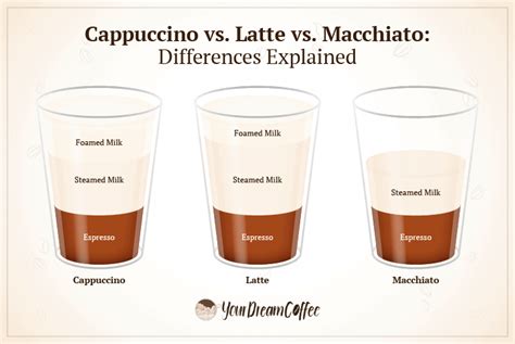 Cappuccino vs. Latte vs. Macchiato: Differences Explained (2022)