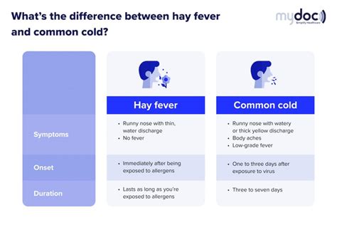 Hay fever: symptoms, causes, treatments and how it’s different from the ...