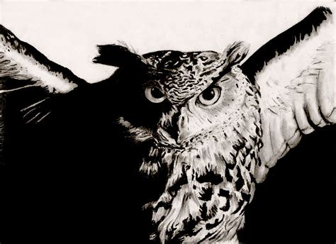 The Owl of Minerva by sixpam on DeviantArt