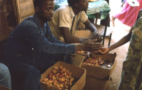 Market in Kédougou, Sénégal (West Africa) | Kola nuts. Photo… | Flickr