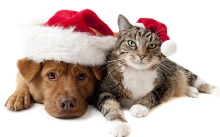 Give the "Gift of Love" - Caring Gifts for Your Loved Ones - Upper Peninsula Animal Welfare Shelter