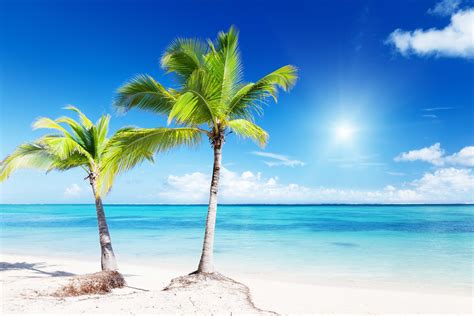 Tropical Wallpapers - WallpaperSafari