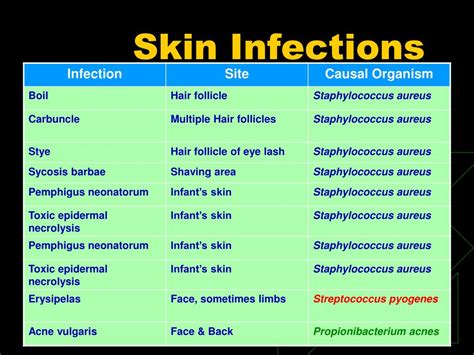 PPT - Bacterial Skin Infections PowerPoint Presentation, free download - ID:5660934