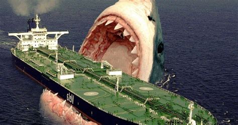 Meg Author Promises a Very Scary, Expensive Shark Movie