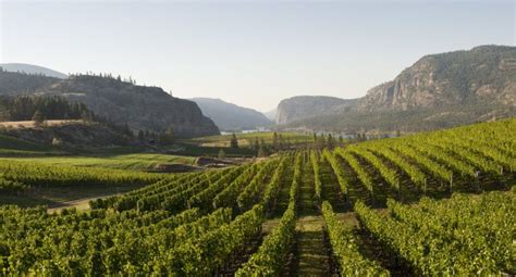 penticton | Penticton, Wine tour, Okanagan valley