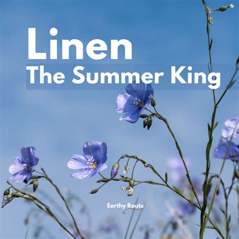 Linen - Summer-friendly and eco-friendly fabric. Read to know more ...