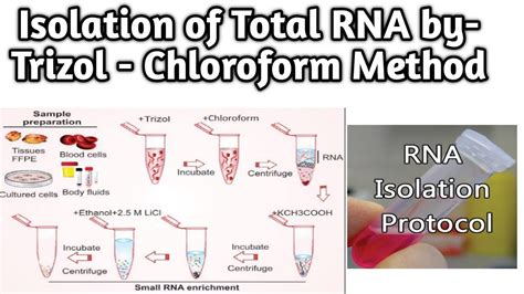 What Is TRIzol Reagent? ZYMO RESEARCH, 52% OFF