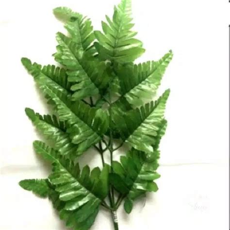 Jual Daun Pakis Artificial | Shopee Indonesia