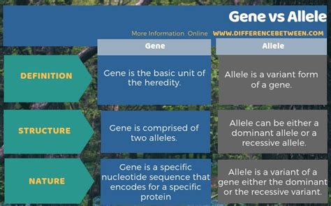 Difference Between Gene and Allele | Compare the Difference Between ...