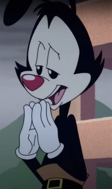 Pin by Dots on stuff | Yakko, Animaniacs, Animated cartoons