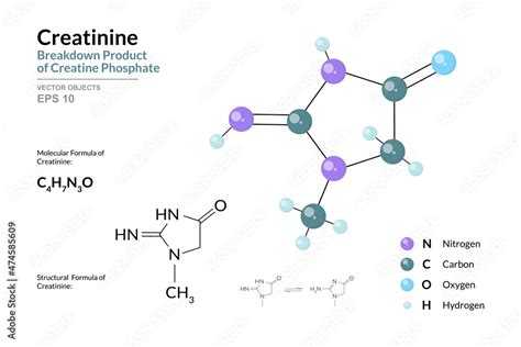 Creatinine. Breakdown Product of Creatine Phosphate. Structural Chemical Formula and Molecule 3d ...