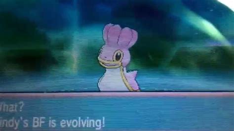 Shellos Evolving to the finest of Gastrodon - YouTube