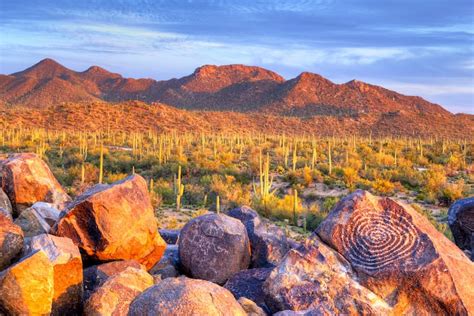 9 Best Hikes in Saguaro National Park for All Levels (+ Map)