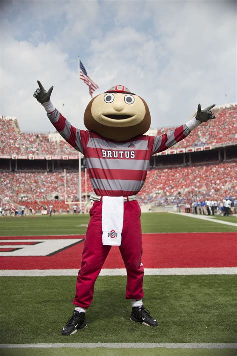 Ohio State Brutus Wallpaper Hd