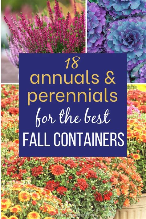 Fall Container Plants: 18 Eye-Catching Annuals & Perennials