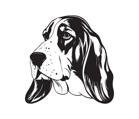 Basset Hound Face, Silhouettes Dog Face, black and white Basset Hound vector 22924257 Vector Art ...