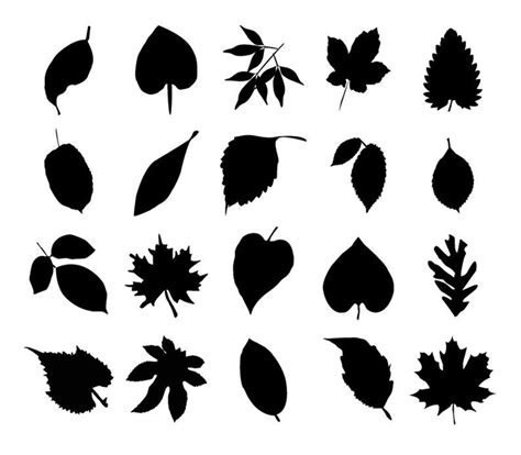 Pile Of Leaves Drawing at GetDrawings | Free download