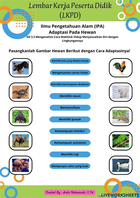 LKPD IPA Kelas 6 Adaptasi Hewan 3.3 worksheet in 2022 | Ipa, Worksheets ...