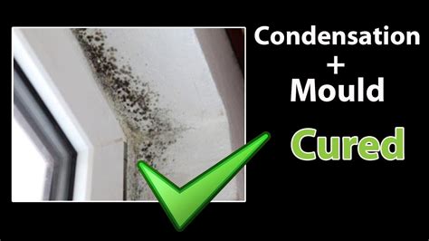 EASY - How to STOP CONDENSATION - Get Rid of Black Mold and Clean Mould ...