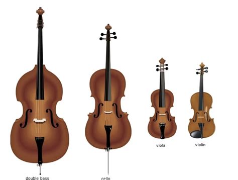 Violin or Cello – Which is Better to Learn as an Adult?