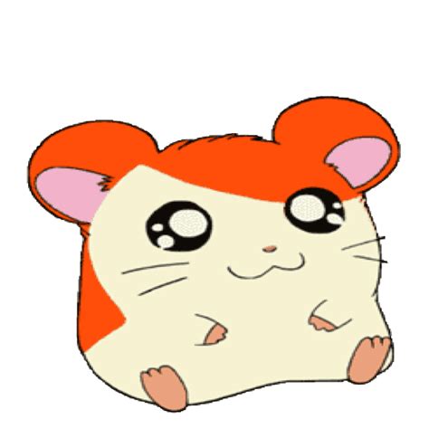 Hamster clipart hamster cartoon, Hamster hamster cartoon Transparent ...