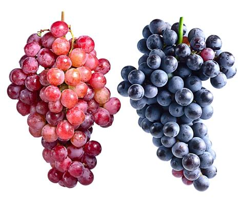 Tips About Using Grapes and Raisins | Cook for Your Life