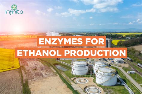 Ethanol Production - How Is Ethanol Made? | Infinita Biotech