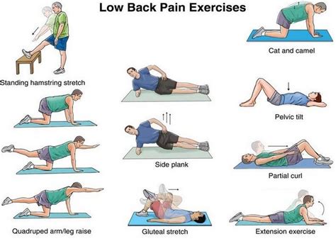 Low Back Strength and Flexibility Exercises to Do At Home or Work - Live Well Chiropractic and ...