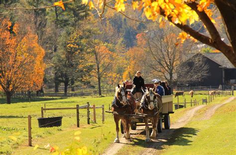 A photographer's guide to perfecting your fall foliage snaps | Woodstock VT