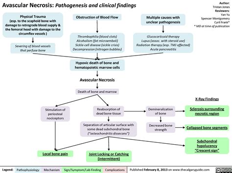 Avascular Necrosis: Pathogenesis and Clinical Findings | Calgary Guide