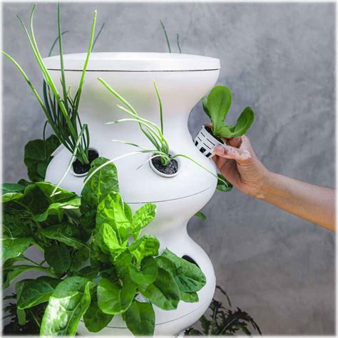 Customer Reviews: Lettuce Grow Farmstand 30-Pod White LETTUCE_GROW_30 ...