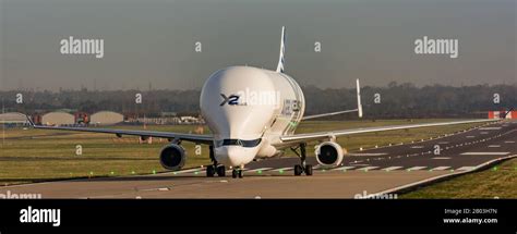 Airbus Beluga XL landing at Airbus Broughton cheshire Stock Photo - Alamy