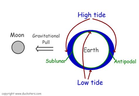 Earth Science for Kids: Ocean Tides