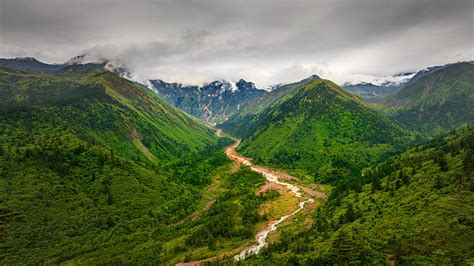 China improves ecological quality of vegetation 2000-2019: report - CGTN