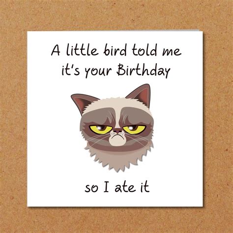 Grumpy Cat Birthday Card for Anyone Who Loves Cats Funny, Humorous, Fun Grouchy Bad-tempered ...