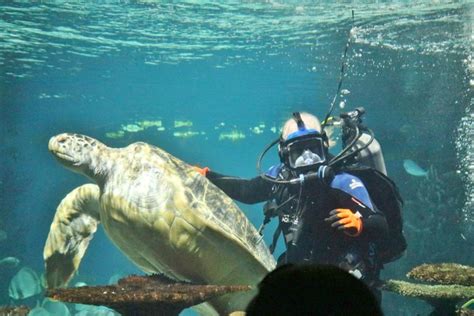 Me and Calypso, National Aquarium, Baltimore, Md.