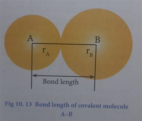 Explain Bond length.. - Brainly.in