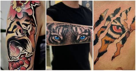 UPDATED: 38 Fierce Tiger Eyes Tattoo Designs (August 2020)