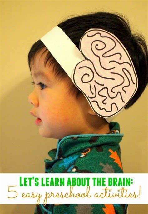 Let's learn about our brain! (Preschool Science Activity) | Preschool science activities, Body ...