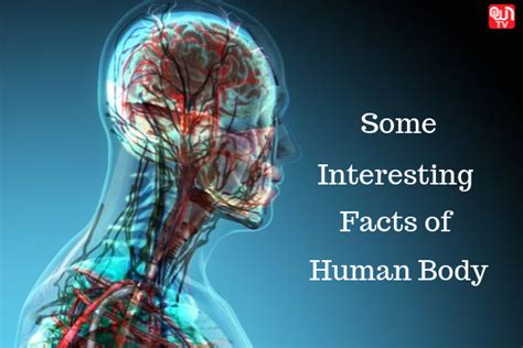 Interesting Facts on the Human Body| SSC CGL, CPO, RRB NTPC