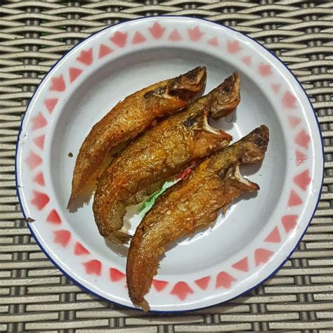 Resep Ikan Lais Goreng Sederhana Rumahan di Yummy App