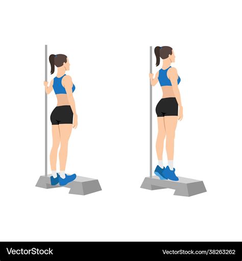 Woman doing bodyweight calf raises exercise Vector Image